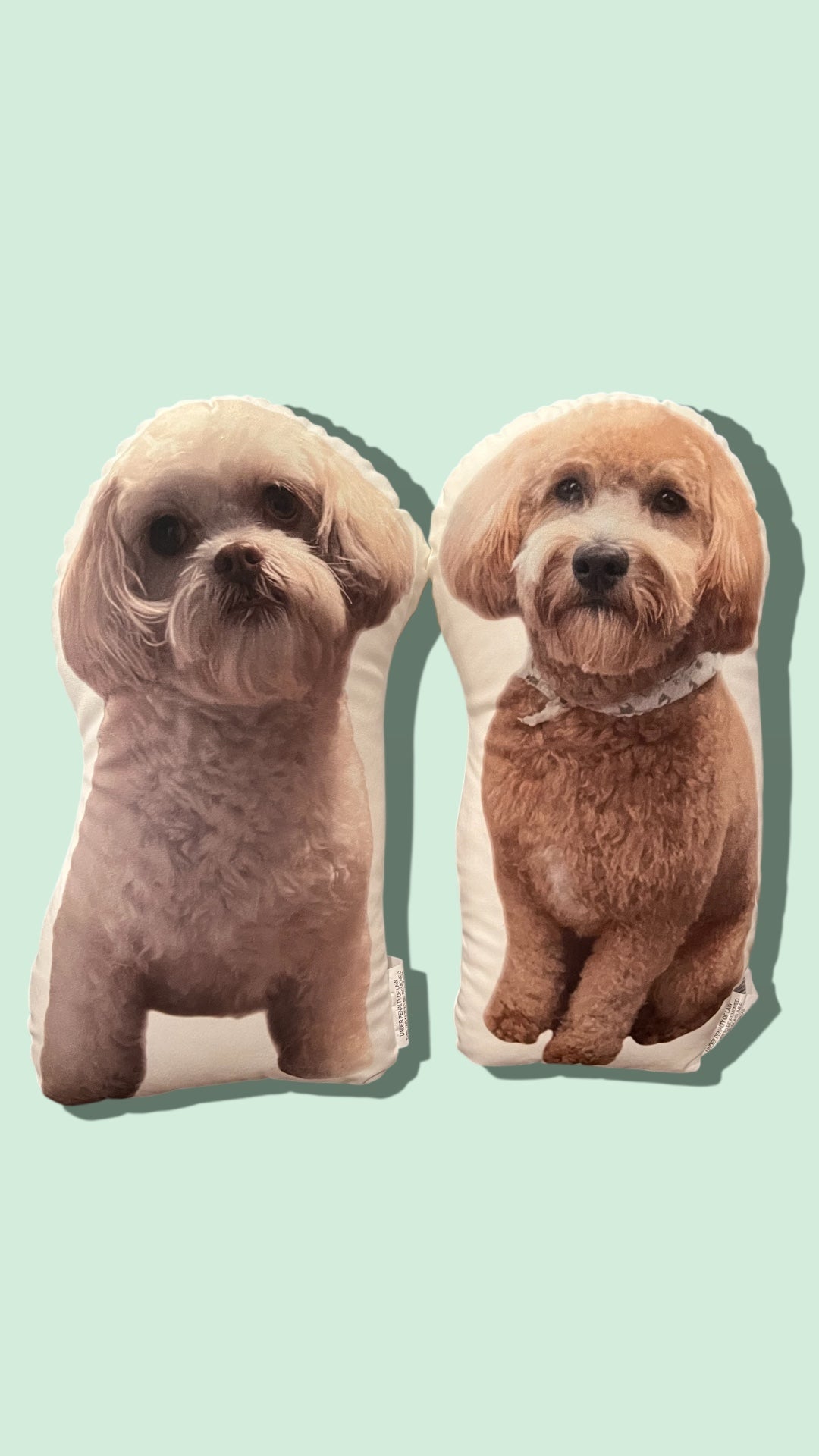 Shape Pillow