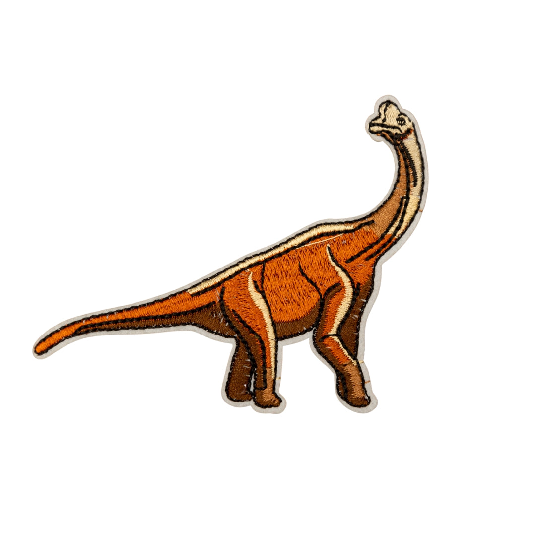 Dinosaur Patch #4